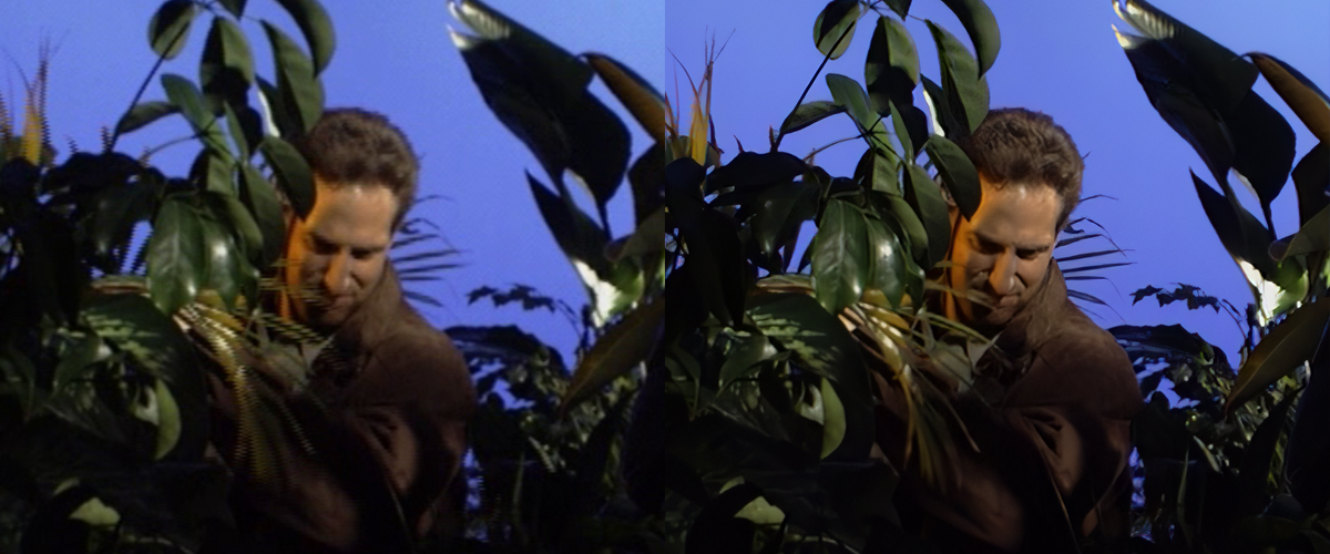 Comparison image of Tex Murphy, showing before (left) and after AI upscaling (right). Left image is interlaced and blurry, whereas the right image is crisp and smooth. Subject: Tex Murphy walks through the jungle.